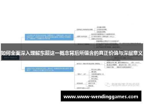 如何全面深入理解东超这一概念背后所蕴含的真正价值与深层意义