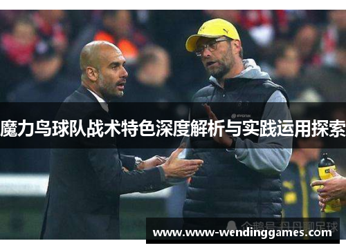 魔力鸟球队战术特色深度解析与实践运用探索