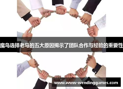 魔鸟选择老马的五大原因揭示了团队合作与经验的重要性