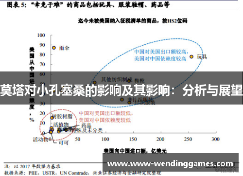 莫塔对小孔塞桑的影响及其影响:分析与展望 莫塔对小孔塞桑的影响及其影响:分析与展望