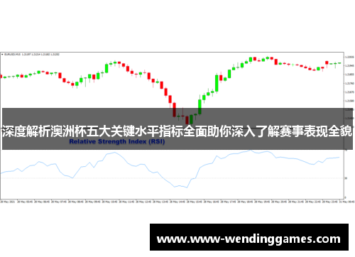 深度解析澳洲杯五大关键水平指标全面助你深入了解赛事表现全貌 深度解析澳洲杯五大关键水平指标全面助你深入了解赛事表现全貌